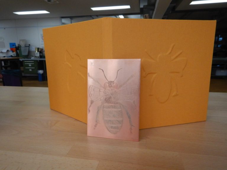 Beispielbuch des Insektenprojektes mit dazugehöriger Kupferplatte. Foto: Peter-Behrens-Schule