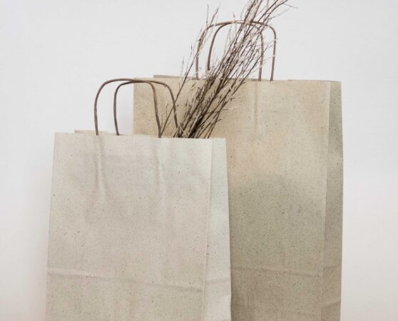 Tragetaschen mit Graspapier-Bestandteilen. Foto: Creapaper