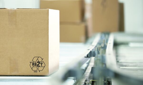 Derartige Kartonagen sind die wohl verbreitetste (Verpackungs-) Variante. Foto: Ratioform