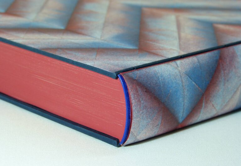 Einband zum Buch „La Vagabonde“ von Colette. Foto: Marcus Janssens